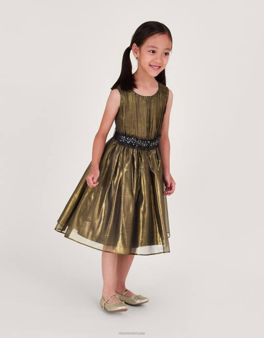 Monsoon بنت أرض العجائب فستان الأورجانزا اللامع D68H1567 ملابس متعدد