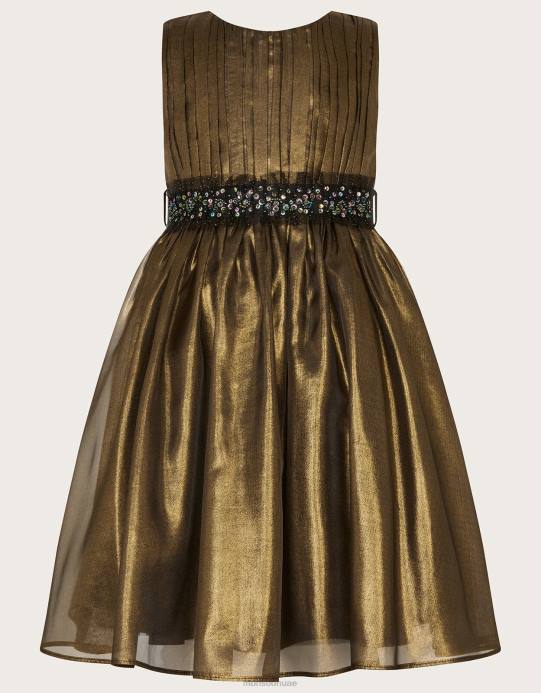 Monsoon بنت أرض العجائب فستان الأورجانزا اللامع D68H1567 ملابس متعدد