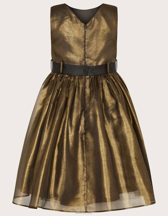 Monsoon بنت أرض العجائب فستان الأورجانزا اللامع D68H1567 ملابس متعدد