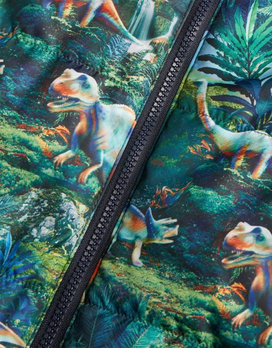 Monsoon ولد معطف مبطن بطبعة ديناصور D68H2206 ملابس أخضر